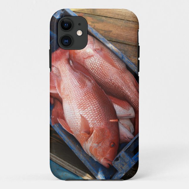 Capa Para iPhone 11 Red Snapper Fish iPhone 5 (Verso)