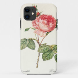 Capa Para iPhone 11 Redoute Rosa Centifolia (brilhante)