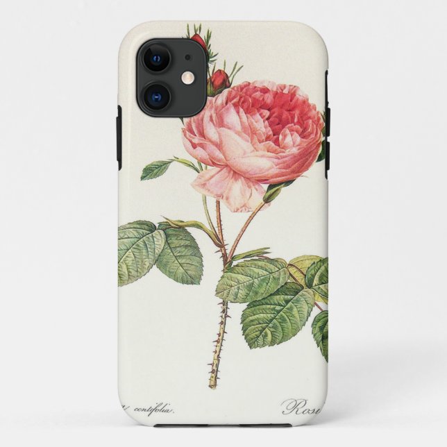 Capa Para iPhone 11 Redoute Rosa Centifolia (brilhante) (Verso)