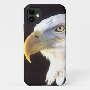 Capa Para iPhone 11 Retrato de Águia Americana, Haliaeetus leucocephal