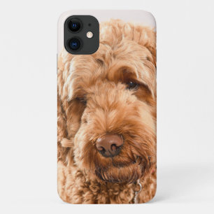 Capa Para iPhone 11 Retrato do Goldendoodle Studio