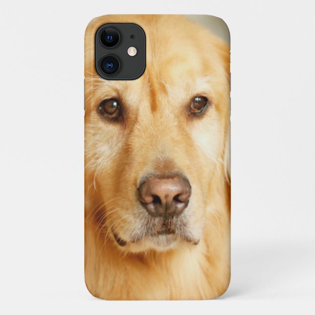 Capa Para iPhone 11 Retrato do Ouro Retriever (Verso)