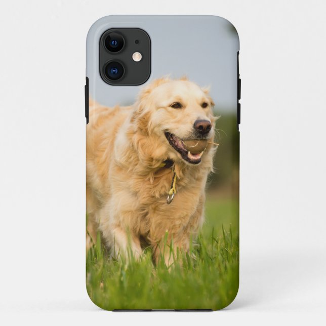 Capa Para iPhone 11 Retriever de ouro (Verso)