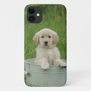 Capa Para iPhone 11 Retriever De Ouros Em Lavagem