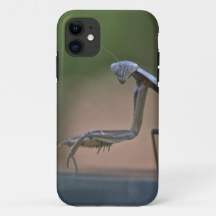 Capa Para iPhone 11 Rezando Mantis Iphone 5 Caso