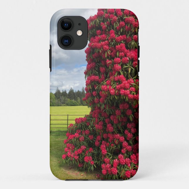 Capa Para iPhone 11 Rhododendron e Scenic View na Escócia (Verso)