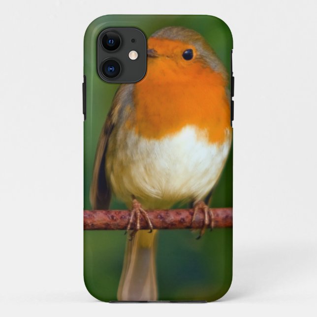 Capa Para iPhone 11 Robin Red Breast (Verso)