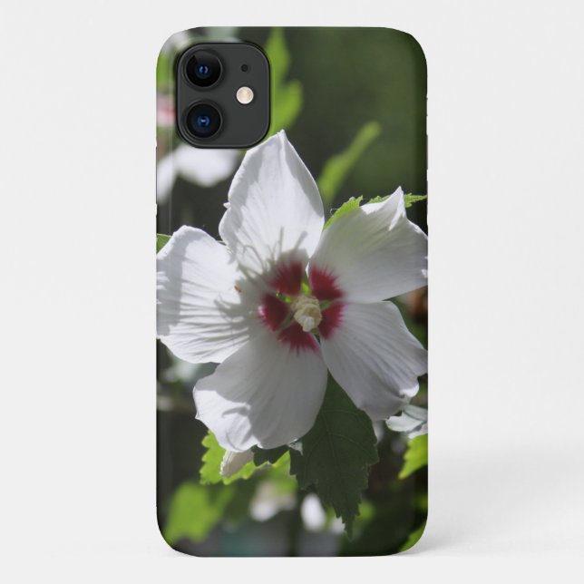 Capa Para iPhone 11 Rosa de Sharon (Verso)