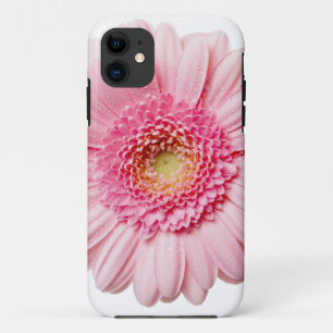 Capa Para iPhone 11 Rosa Gerbera Daisy