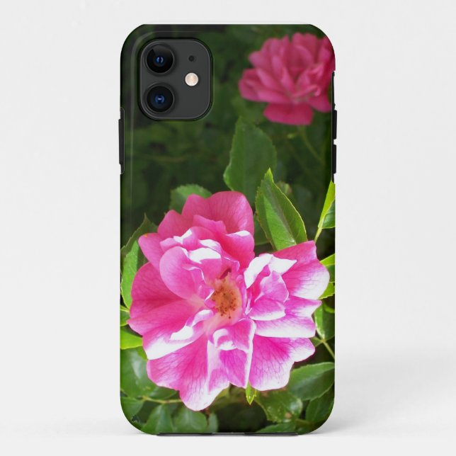 Capa Para iPhone 11 Rosa Rosa Rugosa - Fotografia brilhante Rosa Rosa (Verso)