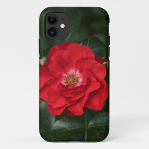 Capa Para iPhone 11 Rosa vermelha P6568