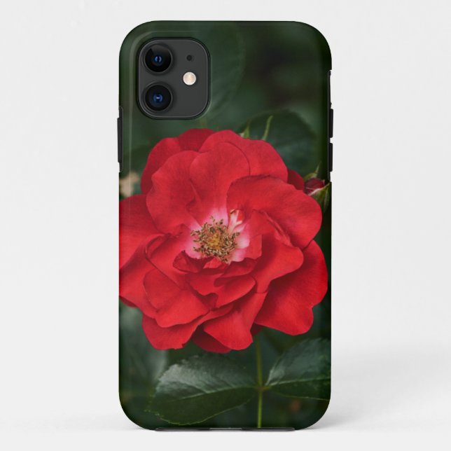 Capa Para iPhone 11 Rosa vermelha P6568 (Verso)