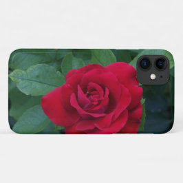 Capa Para iPhone 11 Rosa vermelha para fechar