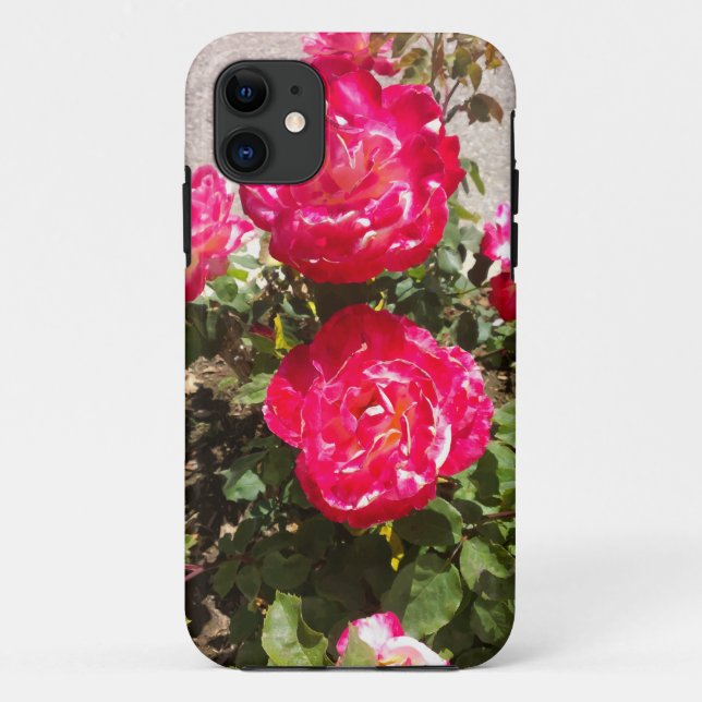 Capa Para iPhone 11 Rosas do Jardim Vermelho (Verso)