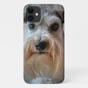 Capa Para iPhone 11 Rosto de Cachorro Schnauzer