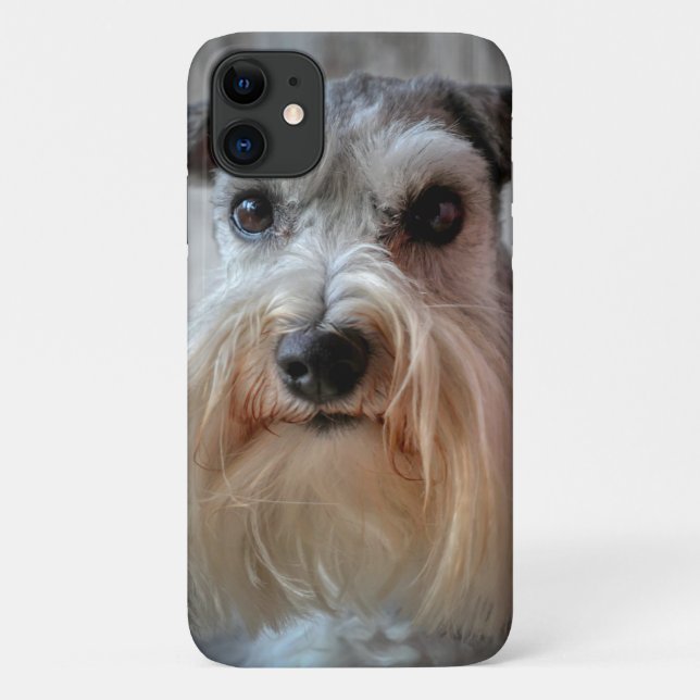 Capa Para iPhone 11 Rosto de Cachorro Schnauzer (Verso)