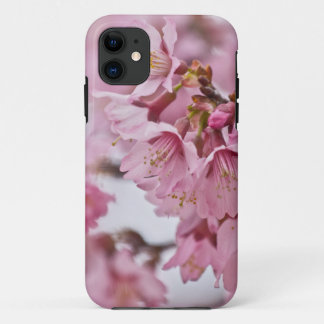 Capa Para iPhone 11 Sakura Flores de Cerejeira Rosa Pálido