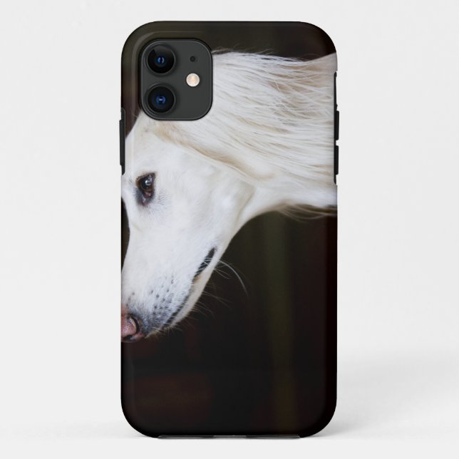 Capa Para iPhone 11 Saluki que olha acima (Verso)