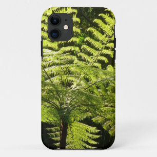 Capa Para iPhone 11 Samambaia-arbórea na Floresta Tropical
