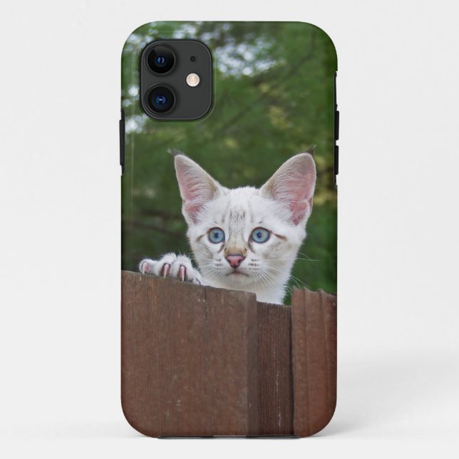 Capa Para iPhone 11 Savannah Cat iPhone 5 (Verso)