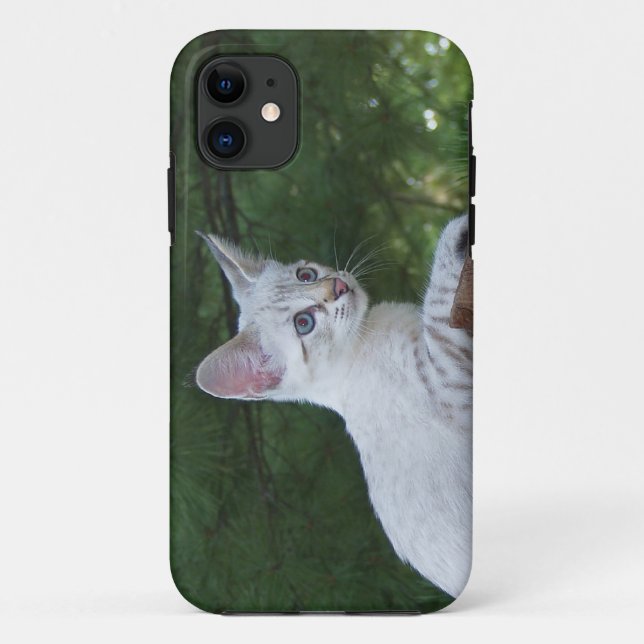 Capa Para iPhone 11 Savannah Cat iPhone 5 Identificação personalizada  (Verso)