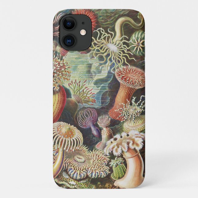 Capa Para iPhone 11 Sea Anemones, Actiniae Seeanemonen Ernst Haeckel (Verso)