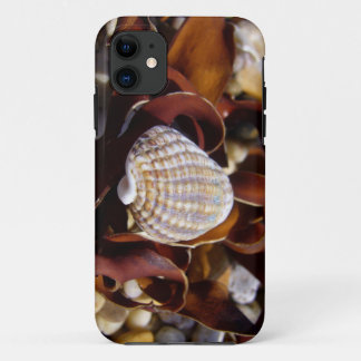 Capa Para iPhone 11 Seashell