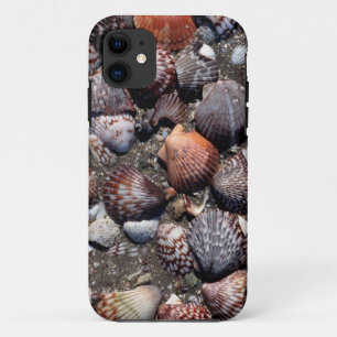 Capa Para iPhone 11 Seashells coloridos Scalloped em uma areia preta