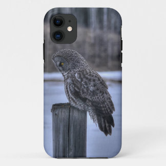 Capa Para iPhone 11 Sentado Cinza Coruja Selvagem Foto Retrato III