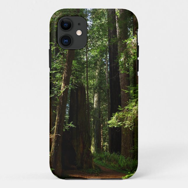 Capa Para iPhone 11 Sequoias e Fernos no Parque Nacional de Redwood (Verso)