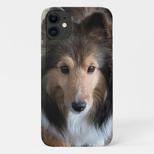 Capa Para iPhone 11 Sheltie Smartphone Case