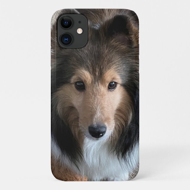 Capa Para iPhone 11 Sheltie Smartphone Case (Verso)