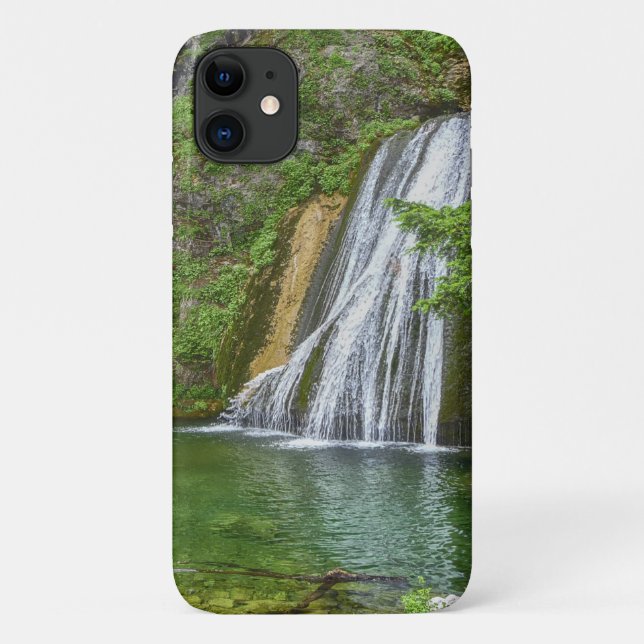 Capa Para iPhone 11 Silício natural verde (Verso)