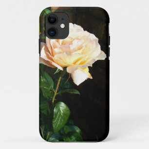 Capa Para iPhone 11 Sonho Rosa Pálido Espia Rosa