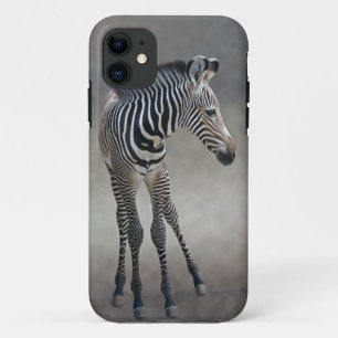 Capa Para iPhone 11 Sonhos em caso de gabinete no iPhone 5 preto e bra
