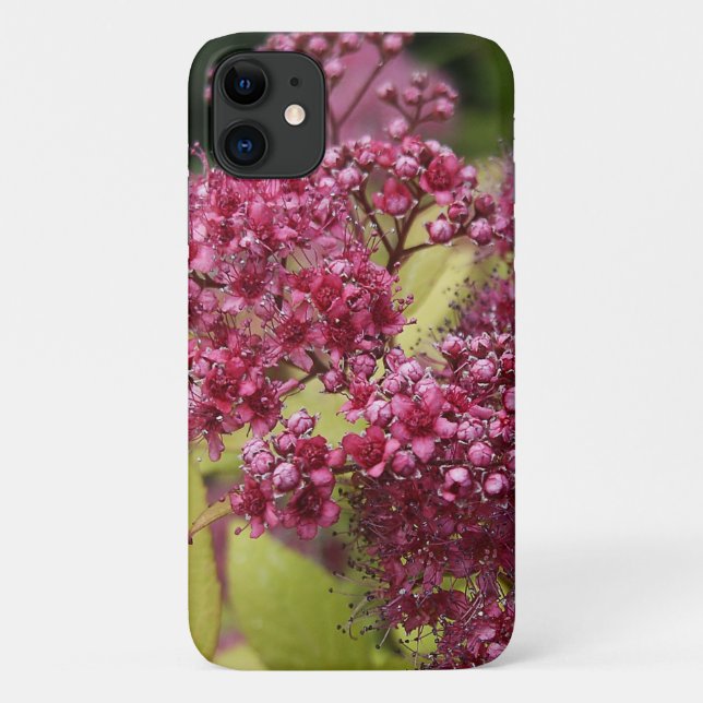 Capa Para iPhone 11 Spirea Rosa (Verso)