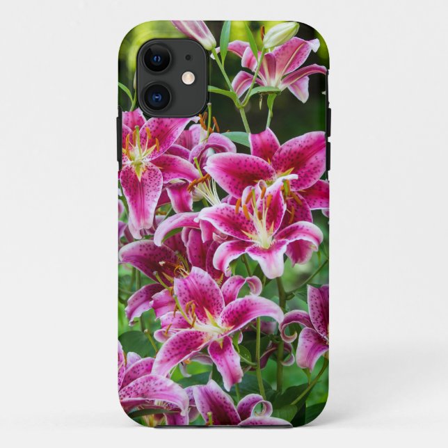 Capa Para iPhone 11 Stargazer Lily (Verso)