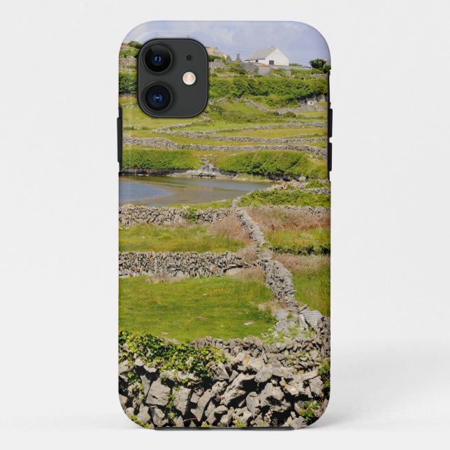 Capa Para iPhone 11 Stone Walls da Irlanda (Verso)