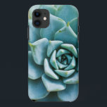 Capa Para iPhone 11 Suculente<br><div class="desc">Rico com textura pontiaguda,  este aqua,  uma suculência verde de seafoam é plantada em um leito de seixos bronzeados.</div>
