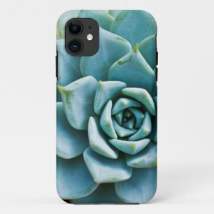 Capa Para iPhone 11 Suculente