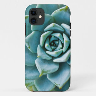 Capa Para iPhone 11 Suculente
