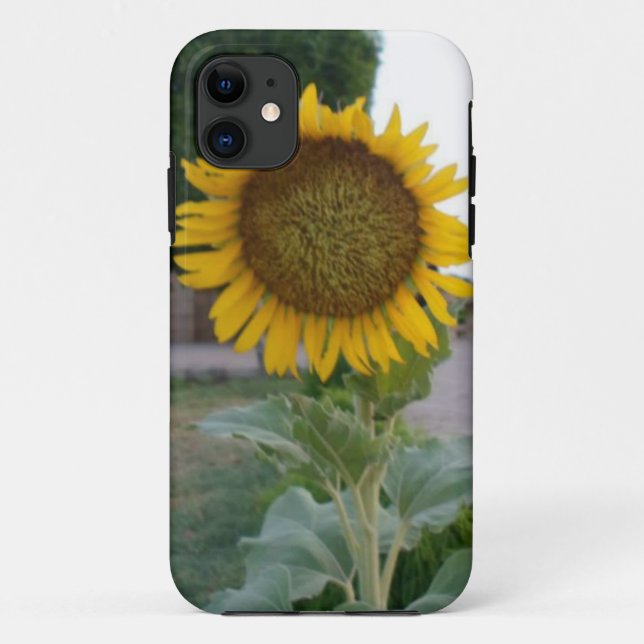 Capa Para iPhone 11 Sunflower Art Impressão (Verso)