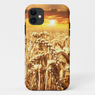 Capa Para iPhone 11 Sunset Sobre Cornfield