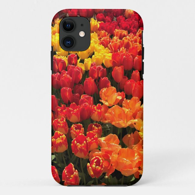 Capa Para iPhone 11 Sunset Tulip Garden Bed, Oregon (Verso)