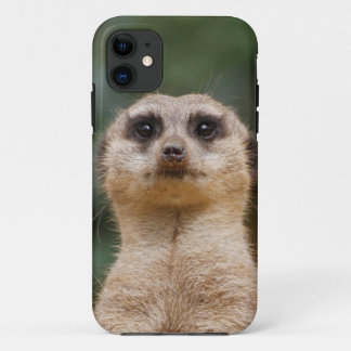 Capa Para iPhone 11 Suricata 001