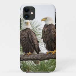 Capa Para iPhone 11 Tabuleta de H&O/capa de telefone (TODOS OS TIPOS)