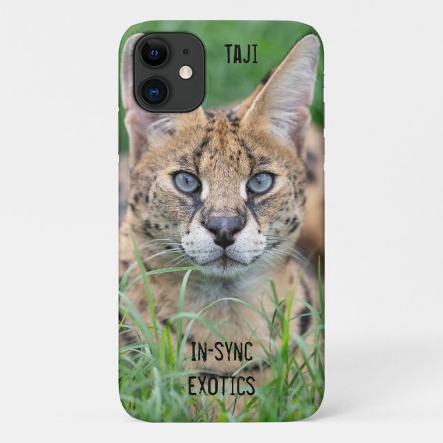 Capa Para iPhone 11 Taji - (Verso)