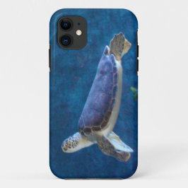 Capa Para iPhone 11 Tartaruga Marinha que foi Resgatada da Caixa de Ce