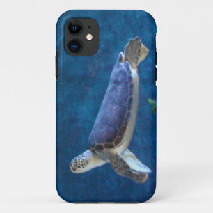 Capa Para iPhone 11 Tartaruga marinha que foi resgatada do caso da Cél
