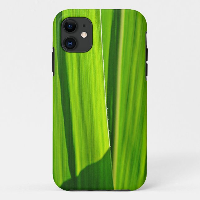 Capa Para iPhone 11 Telefone 5 Hülle grüne Maisblätter (Verso)